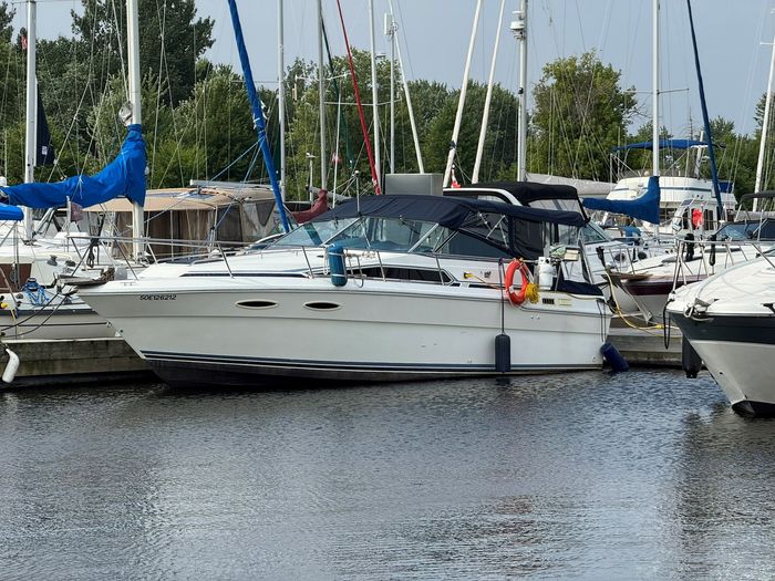 1989 Sea Ray 300 Sundancer Photo 2 of 20