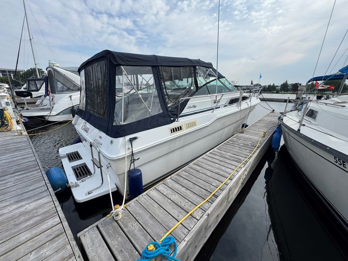 1989 Sea Ray 300 Sundancer Photo 3 of 20