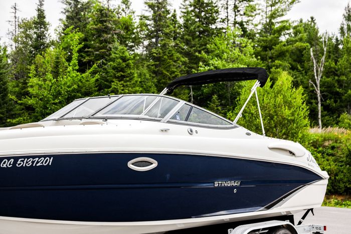 2015 Stingray 250LR Photo 3 of 33
