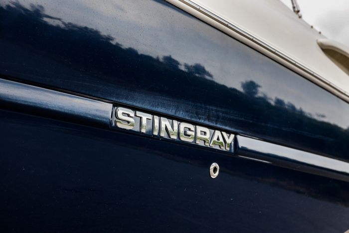 2015 Stingray 250LR Photo 4 of 33