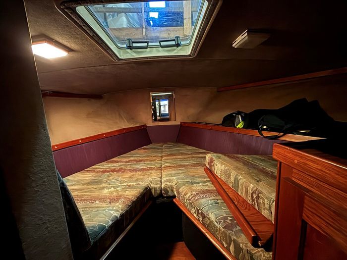 1986 Trojan F36 Convertible Photo 17 of 19