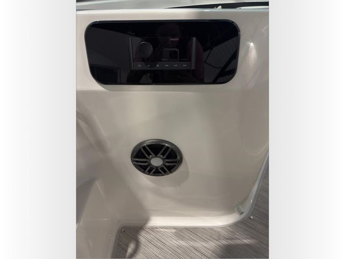 2026 Sea Ray SDX 250 OB Photo 36 sur 59