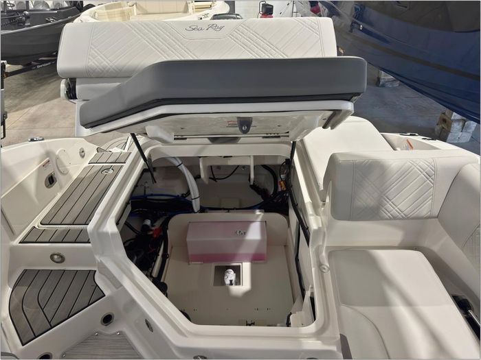 2026 Sea Ray SDX 250 OB Photo 16 sur 59