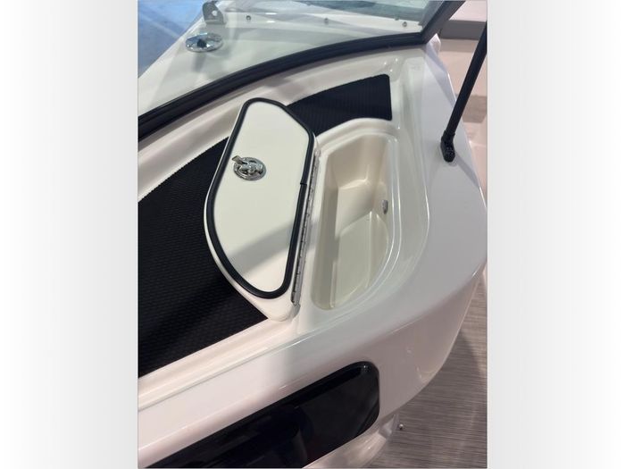 2026 Sea Ray SDX 250 OB Photo 53 sur 59