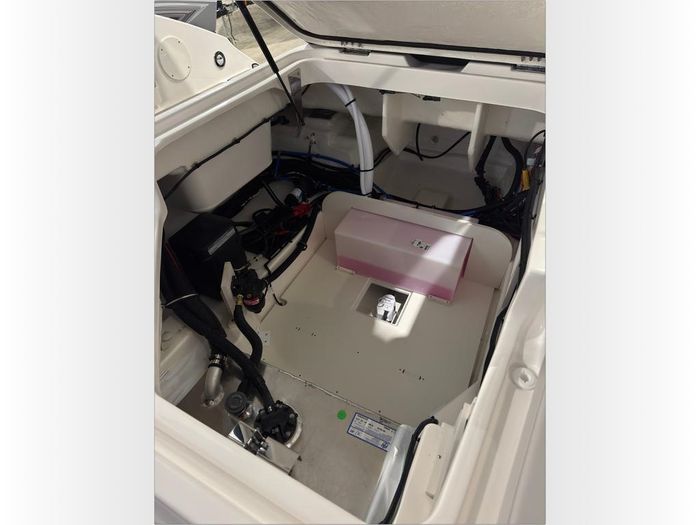 2026 Sea Ray SDX 250 OB Photo 58 sur 59