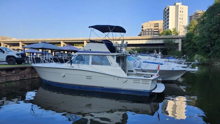 1986 Trojan F36 Photo 2 of 19