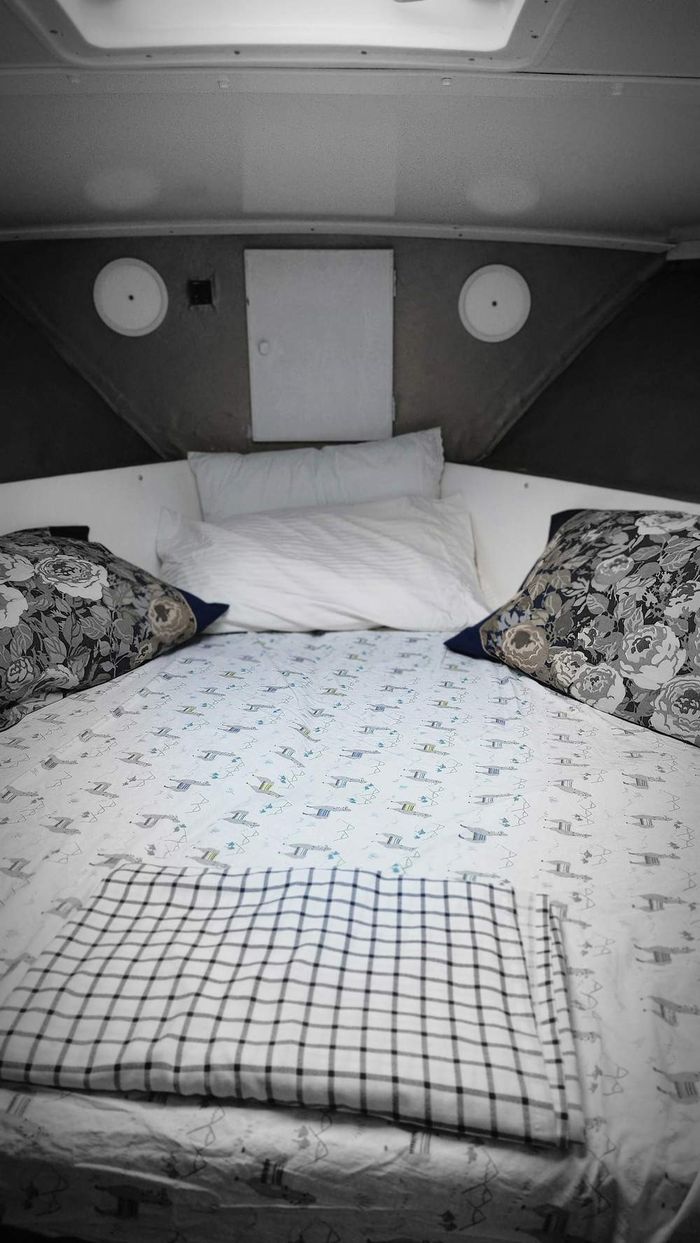 1986 Trojan F36 Photo 17 of 19