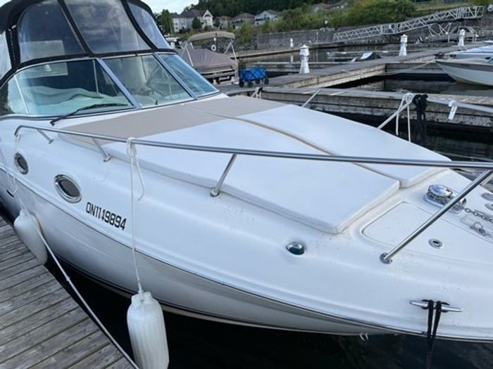 2008 Sea Ray 260 Sundancer Photo 6 sur 48