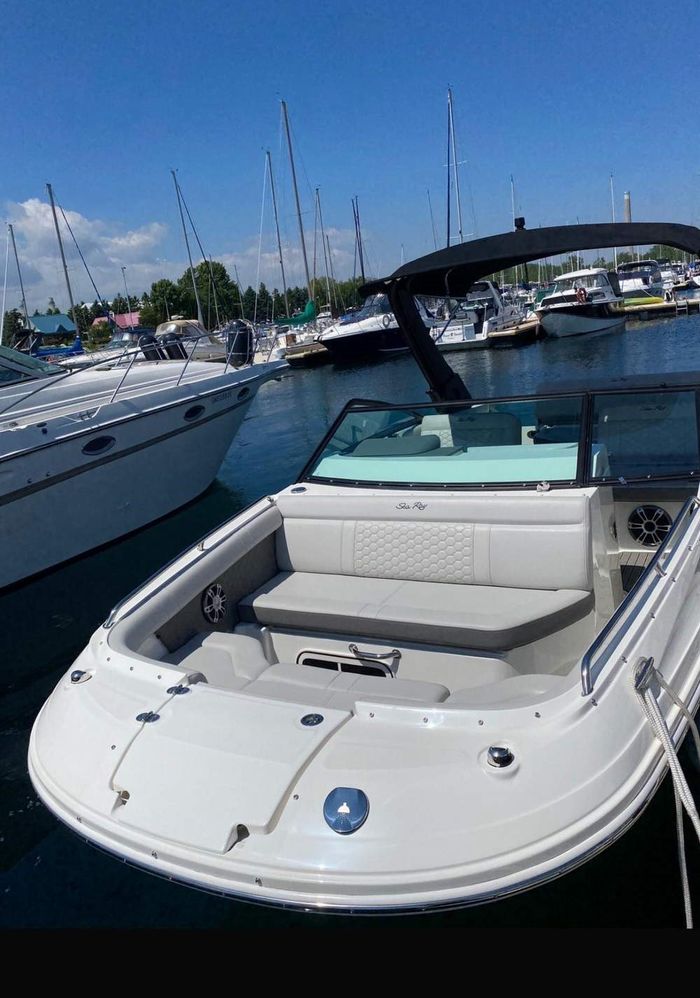 2023 Sea Ray 250 SXD Photo 3 of 5