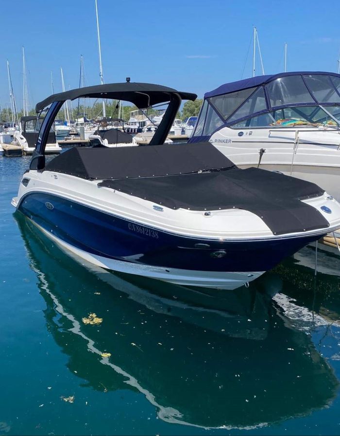 2023 Sea Ray 250 SXD Photo 1 of 5