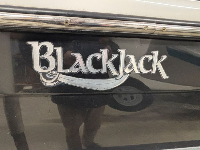 2012 BlackJack 224 Photo 8 of 43