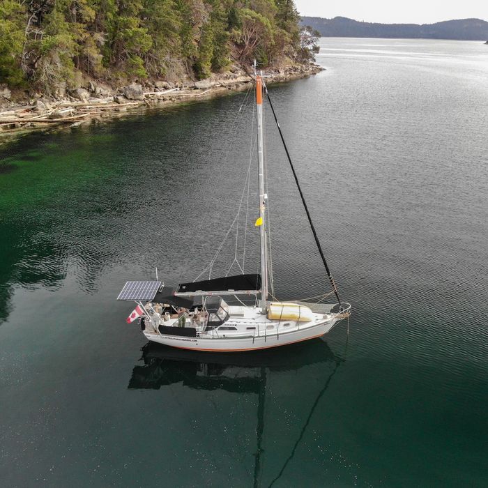 1974 Islander 34 Photo 36 sur 41