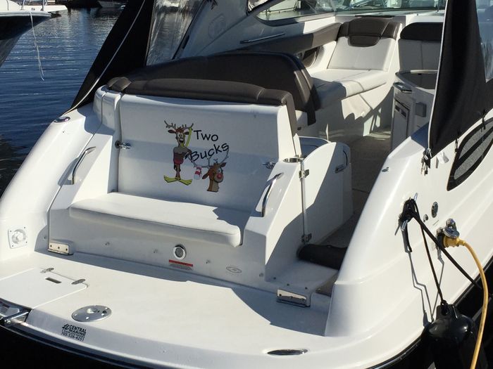 2013 Rinker 290 EC Photo 5 of 42