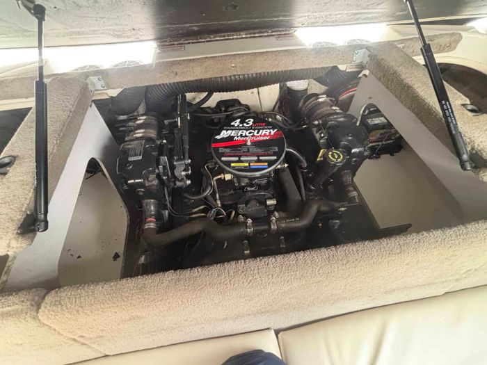 2004 Sea Ray 185 BR SPORT Photo 5 sur 18