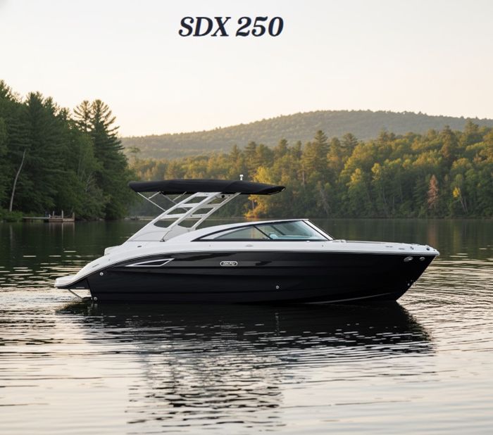 2026 Sea Ray SDX 250 Photo 1 sur 1