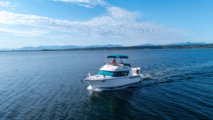 1994 Carver 320 Voyager Photo 3 sur 29