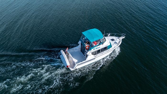 1994 Carver 320 Voyager Photo 6 sur 29