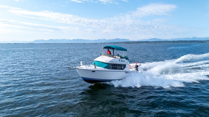 1994 Carver 320 Voyager Photo 9 sur 29