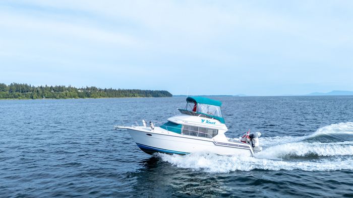 1994 Carver 320 Voyager Photo 10 sur 29