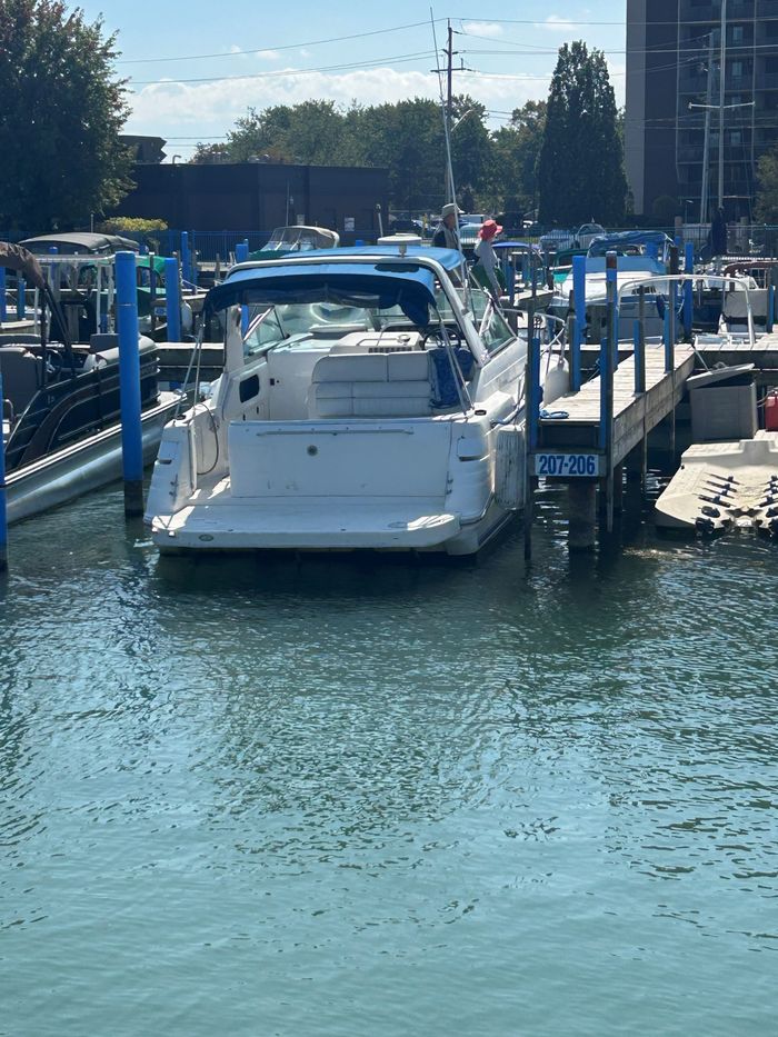 1994 Sea Ray 290 Sundancer Photo 6 sur 52