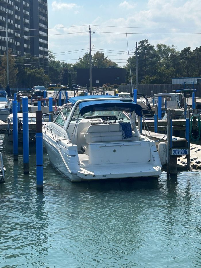 1994 Sea Ray 290 Sundancer Photo 5 sur 52