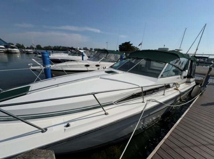 1989 Sea Ray 340 Express Cruiser Photo 5 sur 26