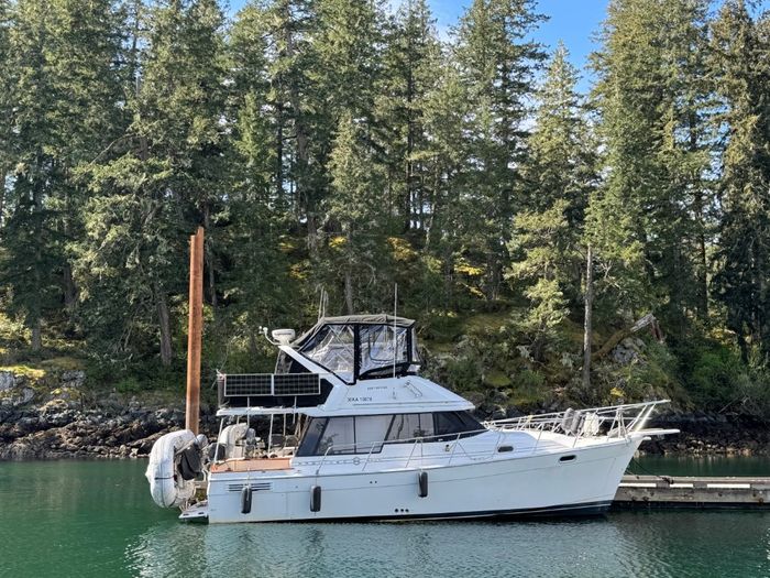 1995 Bayliner 3288 Motoryacht Photo 3 of 113