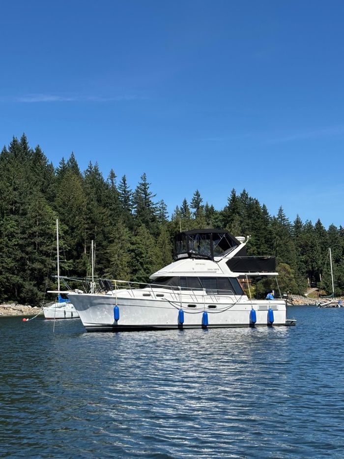 1995 Bayliner 3288 Motoryacht Photo 2 of 113