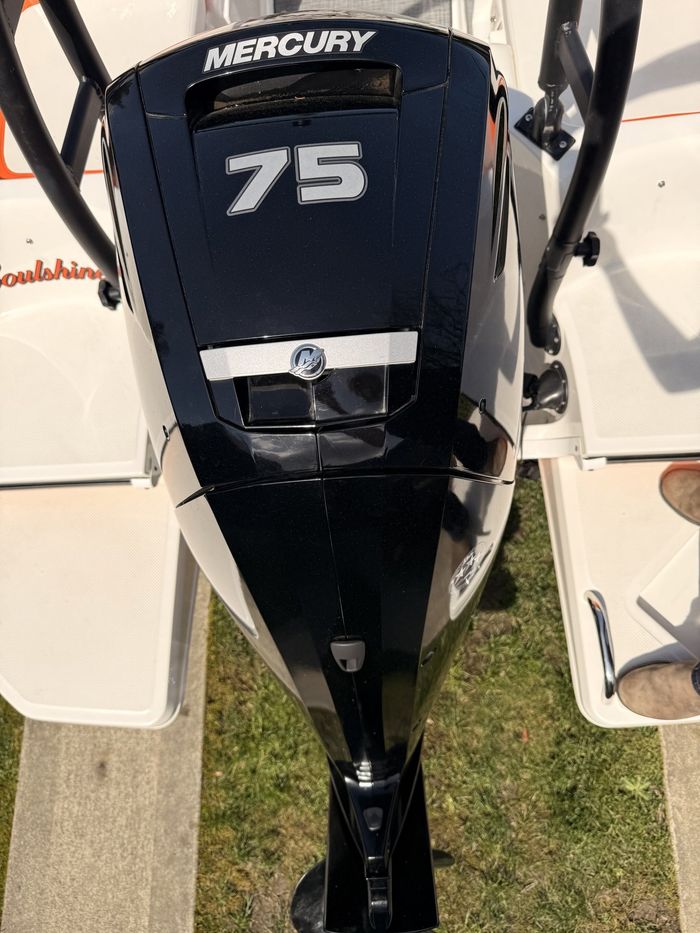 2021 Bayliner ELEMENT 16E Photo 28 of 28