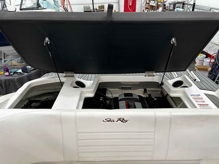2020 Sea Ray SPX 190 Photo 3 of 17