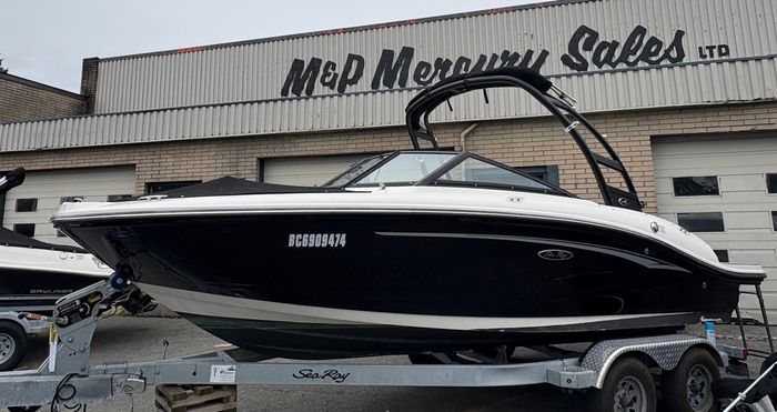 2020 Sea Ray SPX 190 Photo 15 of 17