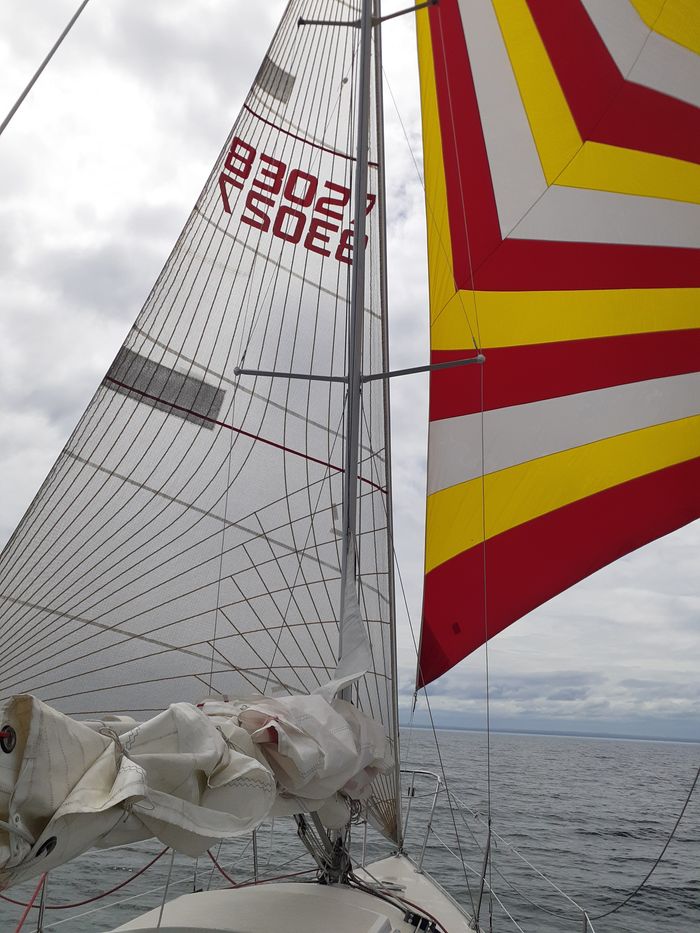 1986 Performance Sailcraft Laser 28 Photo 6 of 33