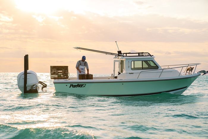 0 Parker Offshore 247 Explorer Photo 3 sur 19