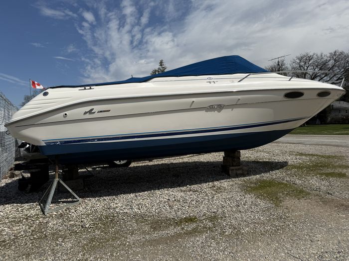 1995 Sea Ray 220 Signature Photo 1 of 18