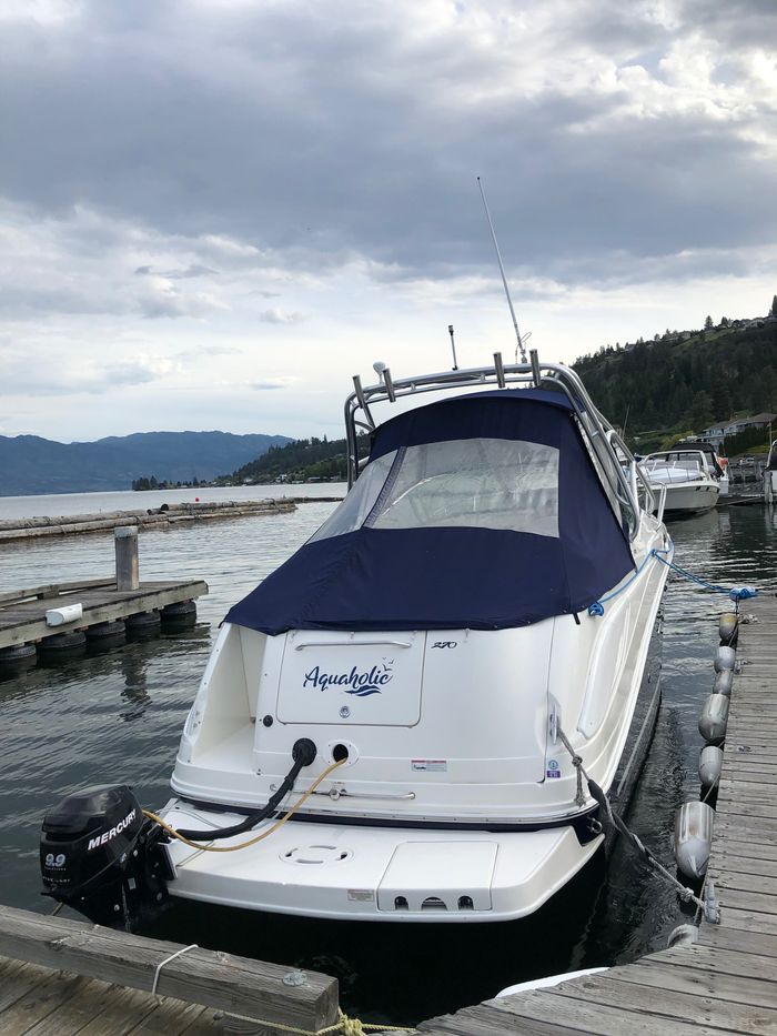 2007 Sea Ray 270 Amberjack Photo 3 of 19