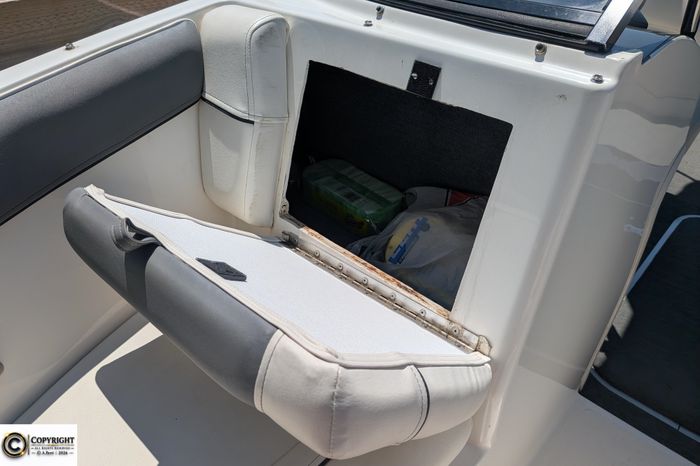 2018 Bayliner 185 BR Photo 30 sur 38