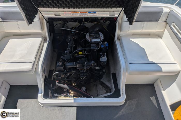2018 Bayliner 185 BR Photo 37 sur 38