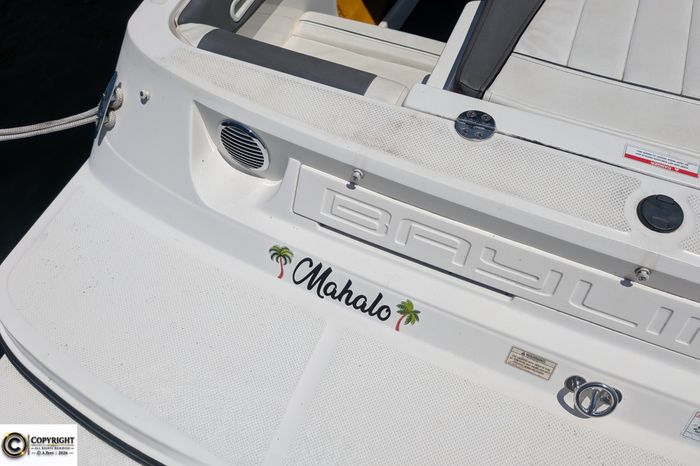 2018 Bayliner 185 BR Photo 8 sur 38