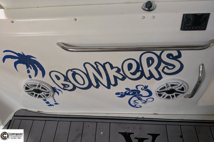 2007 Bayliner 245 Photo 11 sur 59