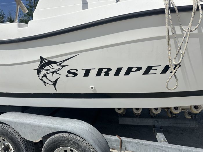 1999 Striper 2100 WA Photo 3 sur 18