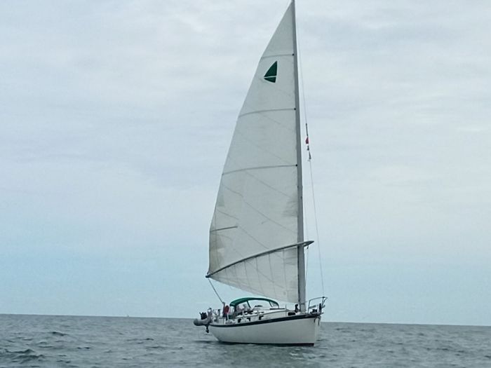 1980 Nonsuch 30 Classic Photo 3 of 12