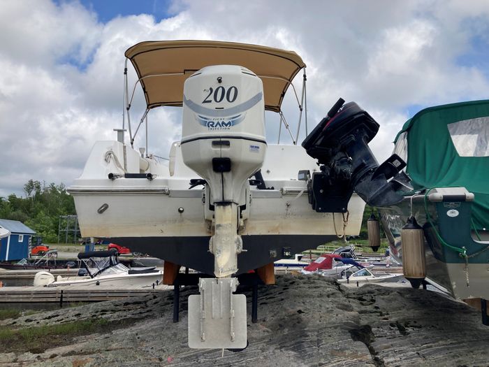 2000 Aquasport OSPREY 205 W/ 200HP EVINRUDE - NO TRAILER Photo 5 of 9