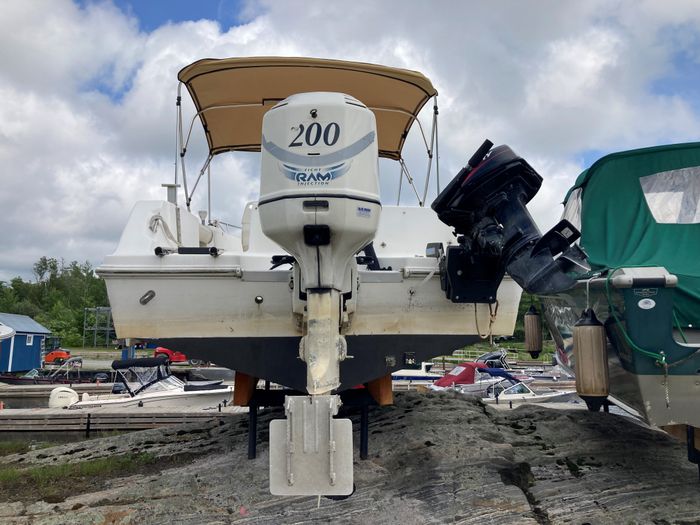 2000 Aquasport OSPREY 205 W/ 200HP EVINRUDE - NO TRAILER Photo 6 of 9