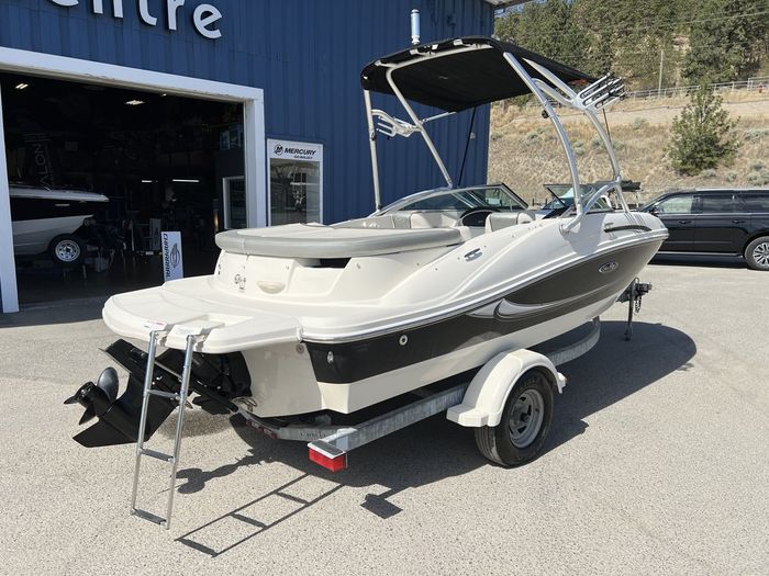 2010 Sea Ray 185 Sport Photo 16 of 33