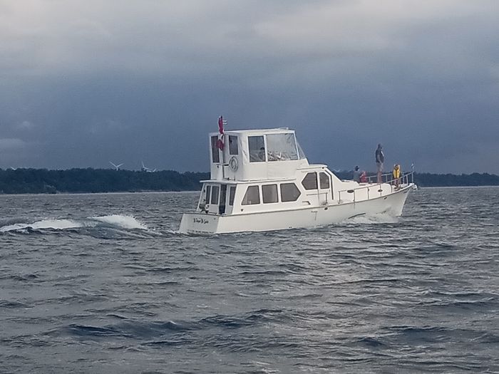 2012 Custom 390 Trawler Photo 11 of 31