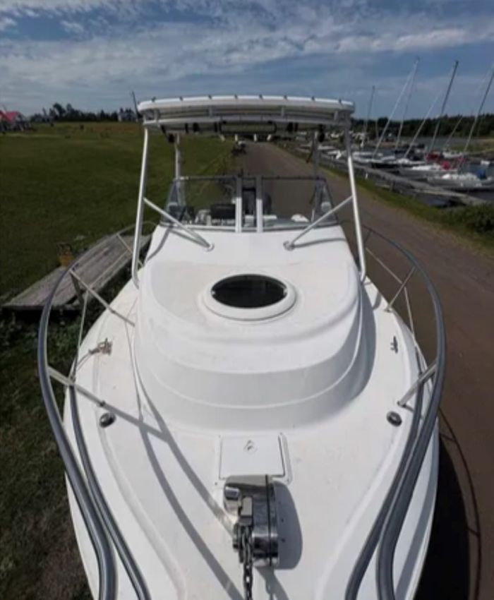 2004 Sea Fox 257 Walkaround Photo 4 sur 13