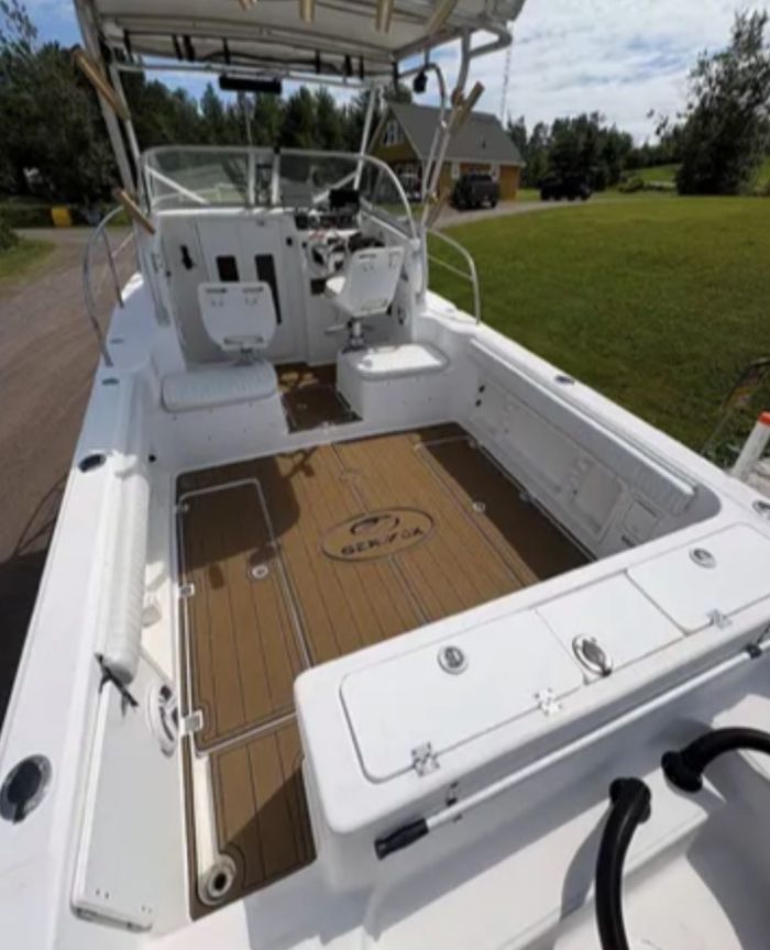 2004 Sea Fox 257 Walkaround Photo 7 sur 13