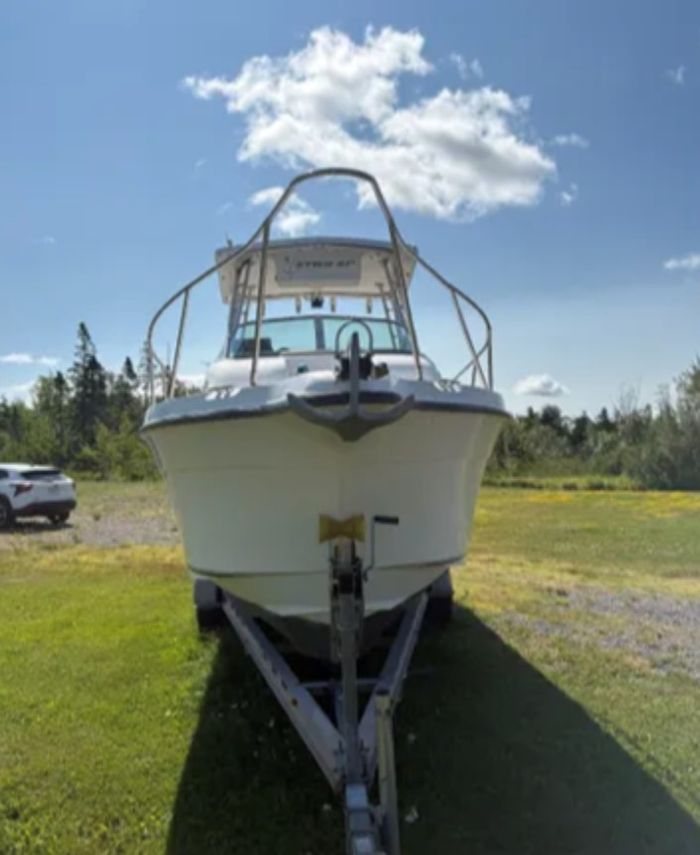 2003 Seaswirl Striper 2601 Photo 3 sur 13