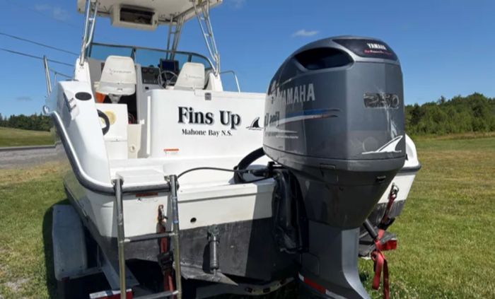 2003 Seaswirl Striper 2601 Photo 5 sur 13