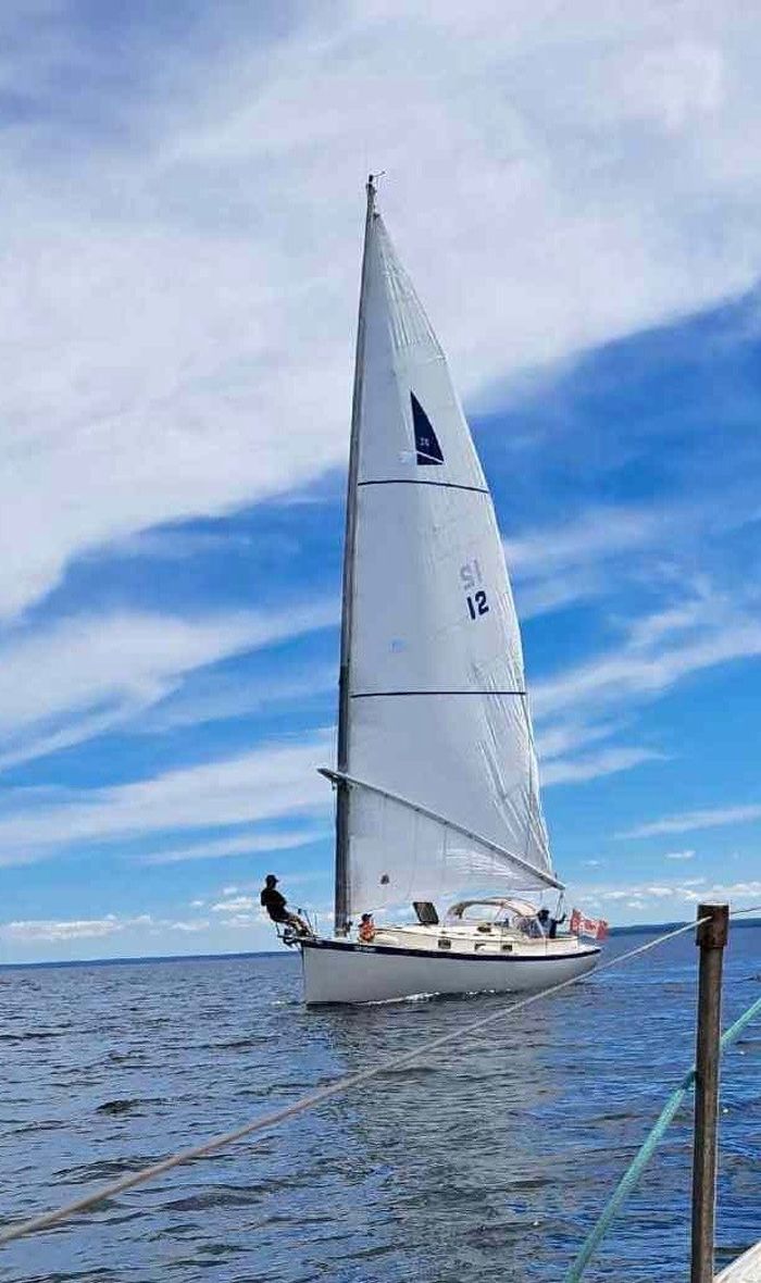 1981 HinterHoeller Nonsuch Photo 3 of 7